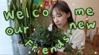 VLOG | 歡迎家裡的綠色新朋友🌿/逛香港花墟/吃了冷麵再吃烏冬麵/躺了就不想起來的懶骨頭/一步一步成型的理想公寓🧡