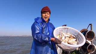 阿阳顶着寒风天出海捕鱼，没想到鱼群全都朝网上钻，海里太冷了吗