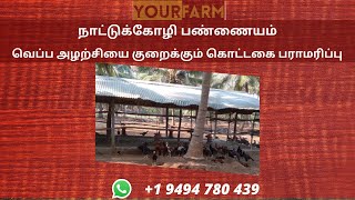 நாட்டுக்கோழி வளர்ப்பு ||வெப்ப அழற்சி||கொட்டகை பராமரிப்பு மற்றும் தீர்வு||