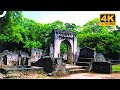 KENYA: MYSTERIOUSLY ABANDONED LOST CITY OF GEDI | Miracles Of Nature | 4K Nature Documentary