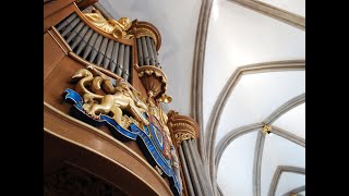 Lunchtime Organ Recital