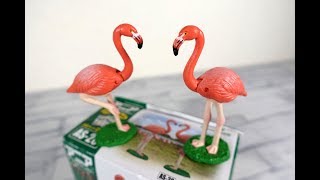 アニア フラミンゴ ベニイロフラミンゴ 子供向け/Takara Tomy ania animal adventure Flamingo Phoenicopterus ruber Figure kids