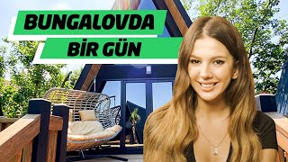 Milyonluk Bungolov'da Bir Gün