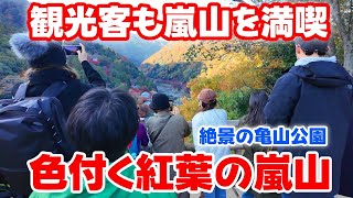 【2024/12/02】嵐山、亀山公園展望台の紅葉満喫絶景スポット kyoto japan walk 人生ぶらり歩き