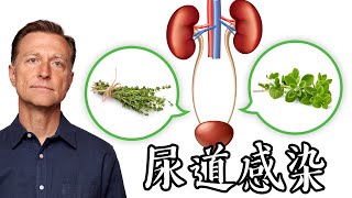 尿道感染,第一名自然療法,柏格醫生 Dr Berg