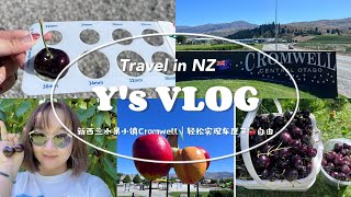 2023 VLOG-9｜新西兰南岛自驾游-水果小镇Cromwell，轻松实现36+车厘子自由！