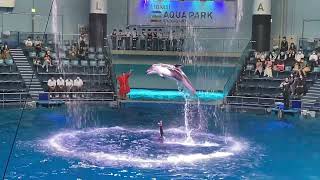 イルカショー　マクセル アクアパーク品川　Maxell Aqua Park　品川水族館　aquarium　ドルフィナリウム