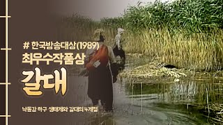 1989년 한국방송대상 최우수작품상 \