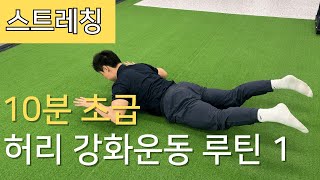 허리통증 없애주는 5가지 스트레칭 | 스포츠재활 원리에 입각한 좋은 허리 강화운동