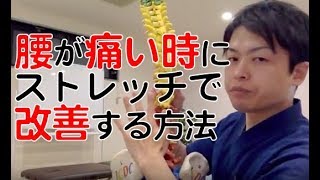 腰が痛い時にストレッチで改善する方法【愛知 安城 整体】