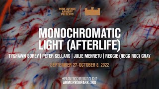 Monochromatic Light (Afterlife): Overview