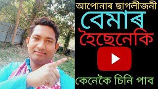 ছাগলীৰ বেমাৰ হলে কেনেকৈ চিনি পাব, sagolir bemar hole kenekoi sini Pam, bimar bakri ka pehsan kiya he