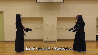 【剣道授業教材】剣道　払い技：払い小手（下からの払い）　#kendo　#剣道