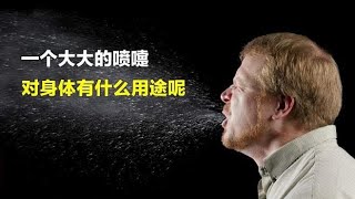 打喷嚏就一定是感冒？千万不要强行憋住！否则可能有致命危险！