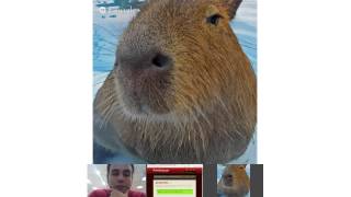 Pair programming in Ruby - Rails, LocalSupport, CanCan and RSpec