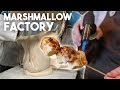 This Marshmallow Factory is MESMERIZING | Foodbeast