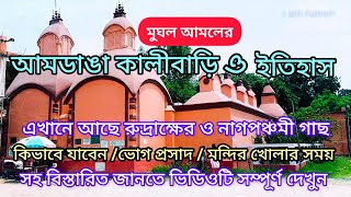 Amdanga kali bari🔥Amdanga Karunamoyee Kali Mandir/amdanga kali bari history/ near barasat