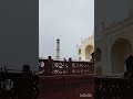 wah taj❤️ foryou tajmahal wahtaj beautiful love shortvideo viralvideo