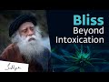 Bliss Beyond Intoxication | Sadhguru