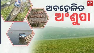 Beauty Of Ansupa Nature Camp In Cuttack | ରକ୍ଷଣାବେକ୍ଷଣର ଅଭାବ: ସୌନ୍ଦର୍ଯ୍ୟ ହରାଉଛି ଅଶୁଂପା ହ୍ରଦ |