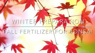 No nitrogen fall fertilizer for bonsai trees - winter preparation