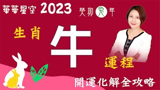 生肖屬牛-2023癸卯兔年流年運程分析暨開運化解一點通【華華星空-2023十二生肖運程】