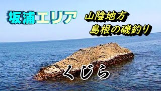 【島根県 磯ふかせ釣り】坂浦エリア [クジラ]で磯遊び！【山陰日本海】