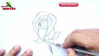 Rose Drawing Tutorial ✅ How to Draw a Rose with Pencile