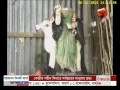 সিরাজগঞ্জে প্রতিমা ভাংচুর channel 24 youtube