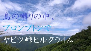 鳥の囀りの中、ブロンプトンでヤビツ峠ヒルクライム