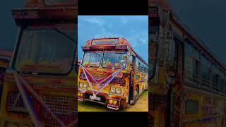 වැලි රැජින | SL BUS PODDA