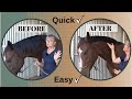 How To Pull A Horses Mane With Ease And Pain Free