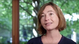 The IDEAS Impact Framework: Segmentation