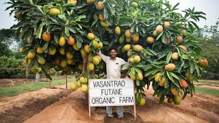 Vasantrao Futane Organic Farm || Meet Organic Farmer || Itspnvlog