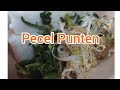 Pecel Punten Khas Blitar || #kulinerblitar#blitarfoodies#pecelpunten#pecelsayur##shorts #shortfeed