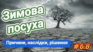 Зимова посуха - загроза для озимих: причини, наслідки та агротехнічні рішення