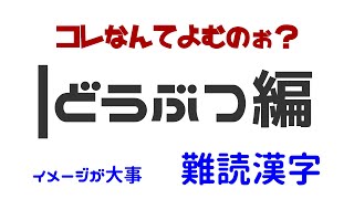 【東大生の父からの出題】難読動物漢字クイズ 難しいけど面白い動物の漢字 海豚って？