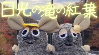 【日光の紅葉  滝巡り】リマスター：日光の紅葉ガリガリ（後篇）