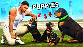 GTA 5 : Franklin Shinchan Found CHOP Had PUPPIES In Gta 5 Tamil | Franklin Tamil | Gta 5