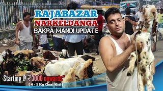 Baby goat starting @ ₹3000 onwards* | Rajabazar Narkeldanga Bakra Mandi Update | Kolkata goat market