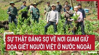 Điểm nóng : Sự thật đáng sợ về nơi giam giữ, dọa giết người Việt ở nước ngoài