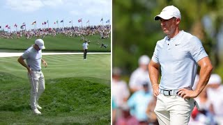 Rory McIlroy's bizarre confrontation with frog sums up chaotic Players Championship round