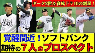 【ソフトバンク】25年ネクストブレイク候補！ギータ2世＆育成ドラ10の新星！23年ドラフト組も飛躍で常勝軍団形成へ！#プロ野球 #野球