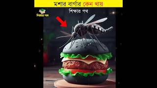 মশার বার্গার কেন খায় || mosquito burger africa || #shorts #viral #শিক্ষারপথ #newshorts #unknownfacts