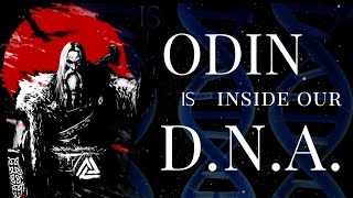 Odin is inside our DNA - draupnir chronicles