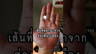 เส้นเกียรติยศ มีแล้วใช้เงินเก่ง #ดูลายมือ #ลายมือ #ดวง #ดูดวง #ดวงการเงิน #ดวงชีวิต #เส้นวาสนา