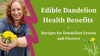 Edible Dandelion Health Benefits + Recipes for Dandelion Greens and Flowers