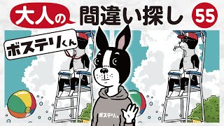 ＃55【大人の】間違い探し！脳トレに役立つ！1問90秒・３つのまちがいを見つけよう！