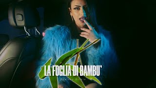 Stefano Priolo - La foglia di bambu' (Video Ufficiale 2023)