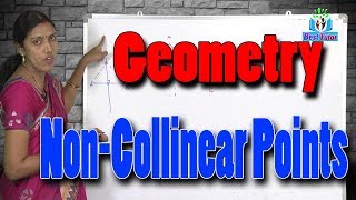 Geometry : How Many Circles Drawn through 3 Non-Collinear Points ? | Best Tutor